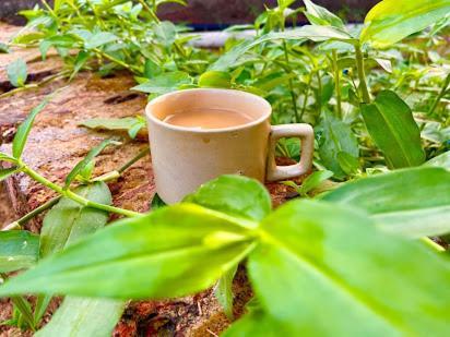 Samarth Atc-Beach Home Stay Ratnāgiri Exteriér fotografie